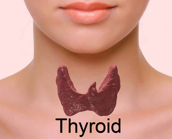 thyroid onion main